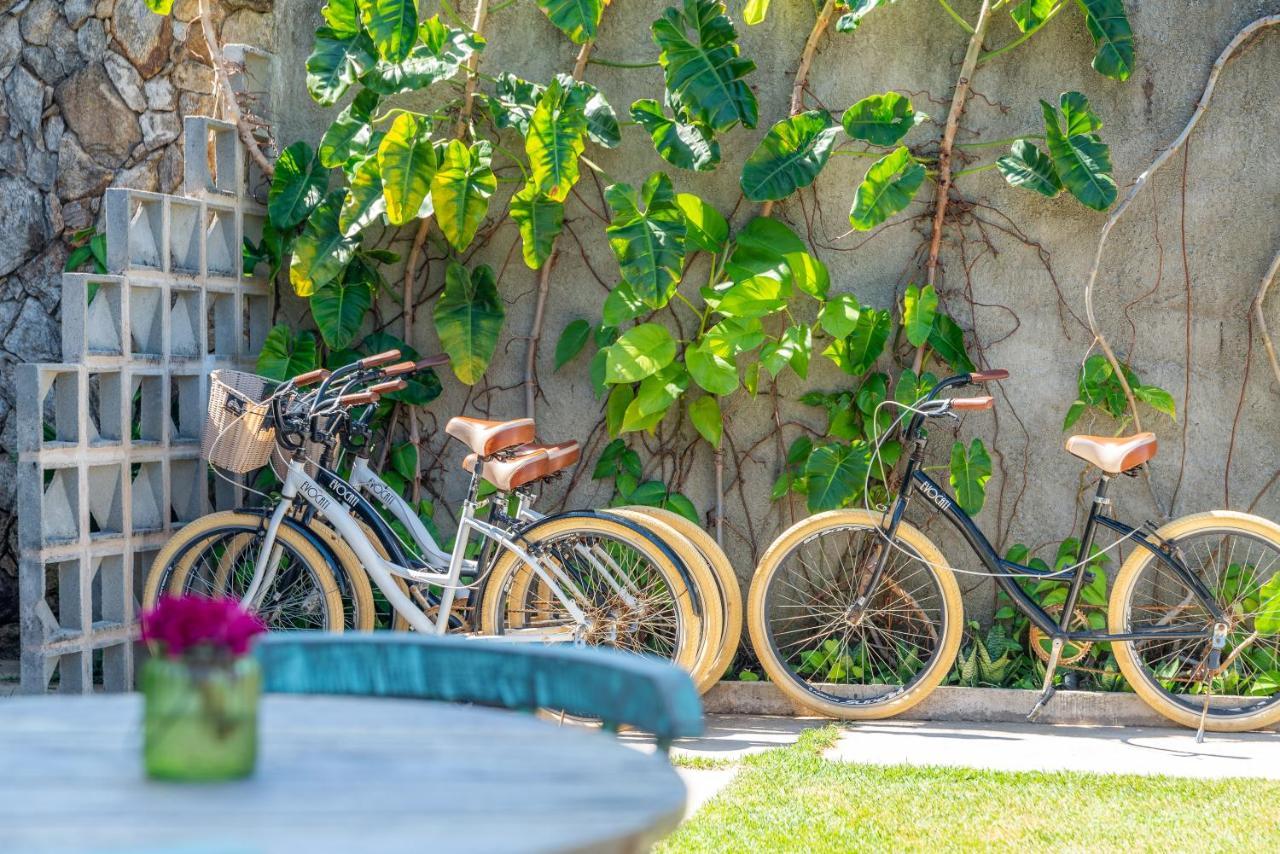 Villa Pantai Boutique Hotel Maragogi Zewnętrze zdjęcie